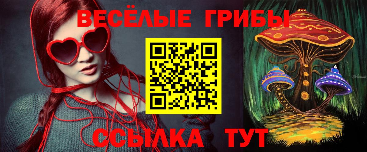 Псилоцибиновые грибы Psilocybe  Псилоцибиновые грибы GOLDEN TEACHER  наркотики  Барабинск  Вход с VPN 